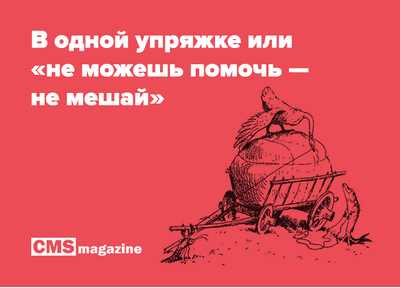 Поговорили с CMS Magazine о том, как клиенту выстроить коммуникацию с подрядчиком в digital