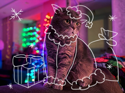 Создаем новогоднее настроение дома!