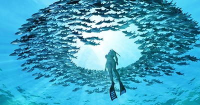 Делимся мнением: как быстро понять, подходит ли заказчику digital-агентство/продакшен?