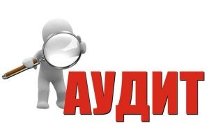 Уже в нашем портфолио: работы по аудиту